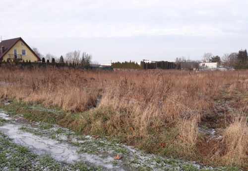 nieruchomości budowlane rogalinek